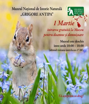Intrarea gratuită de 1 Martie la Muzeul Antipa